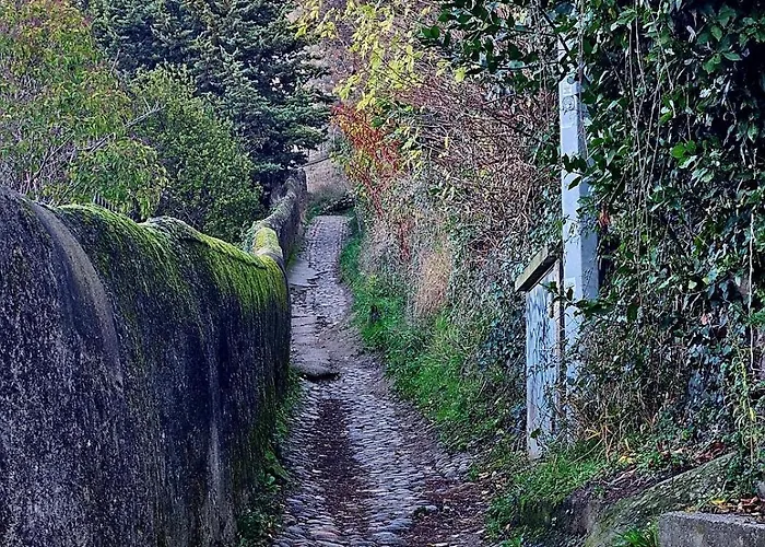 Cite Medievale- Le Remp'art - 3 Confort-au Pied De La Cite- Acces Direct Pietons - Parking Gratuit